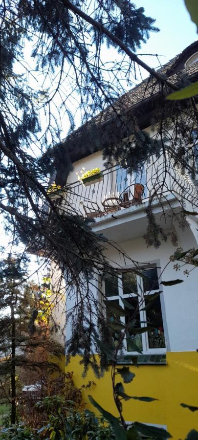 Mountain Villa View Apartment Jelenia Góra Exterior foto